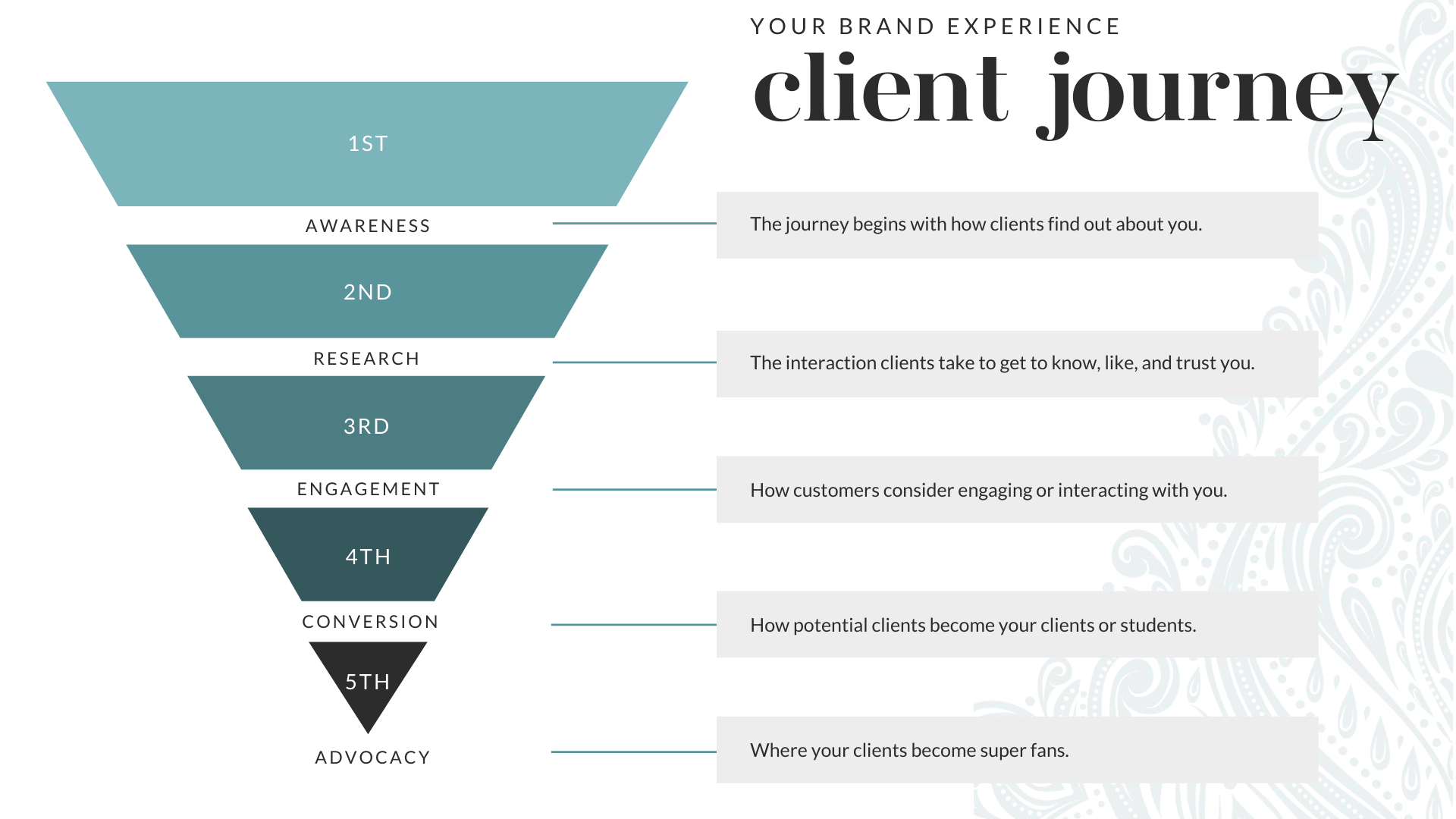 Understanding your client journey is an important part to creating a brand and website that transforms visitors into clients.
